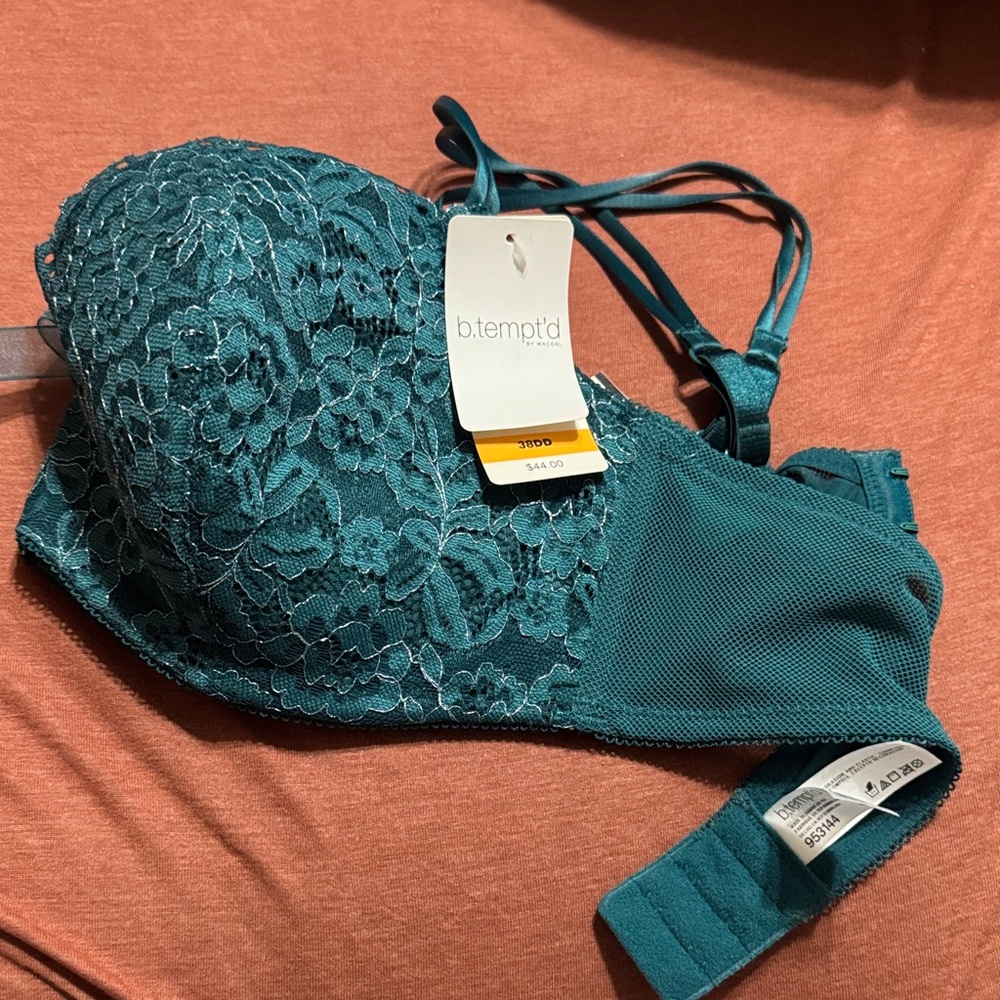Teal Lace Underwire Bra